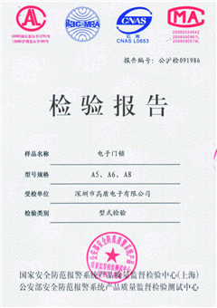 檢驗(yàn)報告