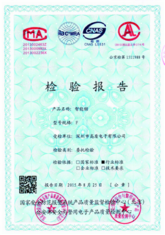檢驗(yàn)報告